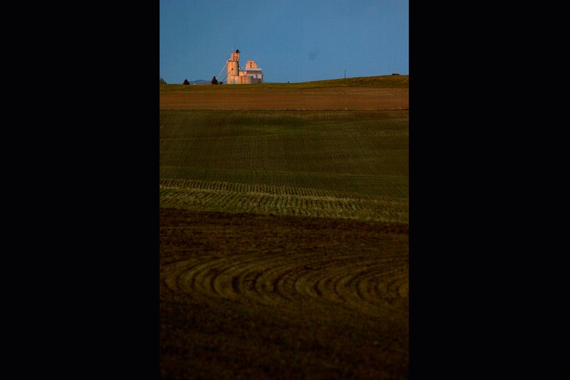 1ef9ce2d-e9cc-4964-8d16-07fb79dc0f19