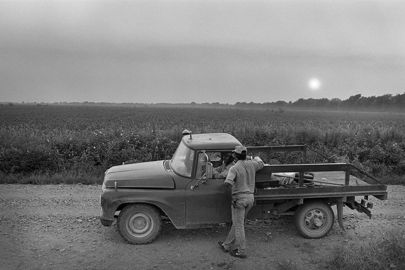 52fe25b6-f00b-4561-a816-48ca1c77e620