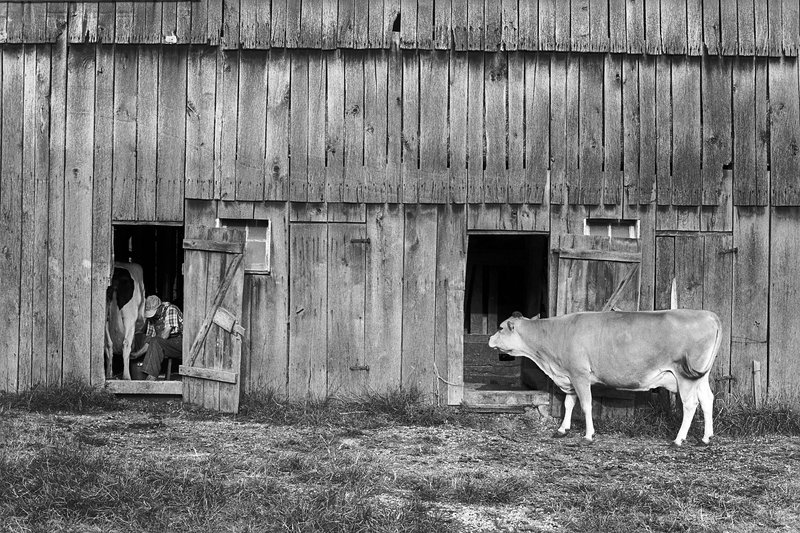 c76f25aa-8cfc-4048-8b0b-97661f41f0ee