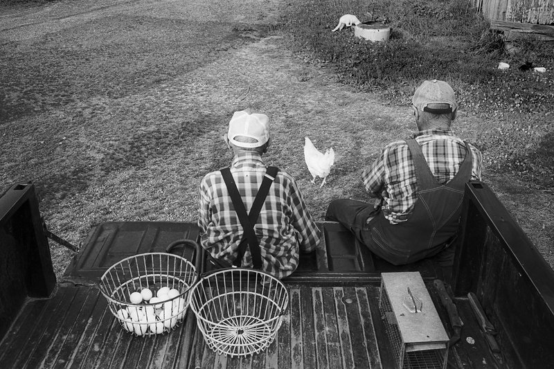 e3e81899-f0c5-419f-8599-4309ac27b4a0